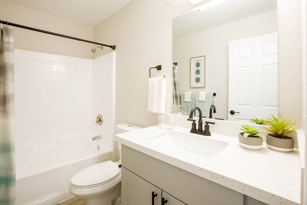 Model Hall Bathroom at 60 at Melrose, Phoenix, Arizona