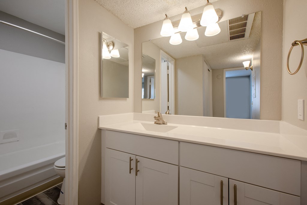 Large Vanity at The Vintage Apartments, Tucson, 85710
