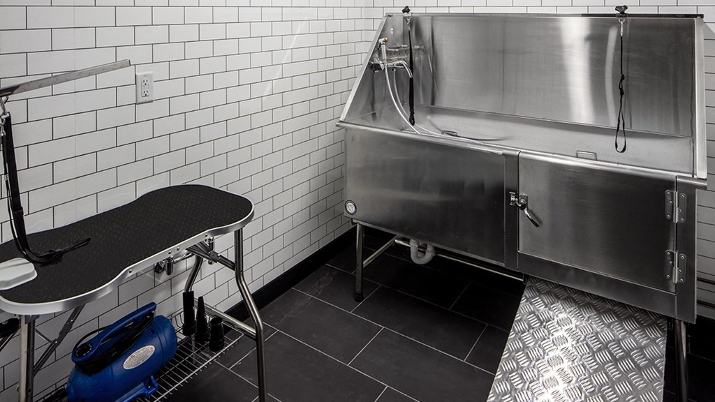 Pet Spa at Vicina Modern Flats