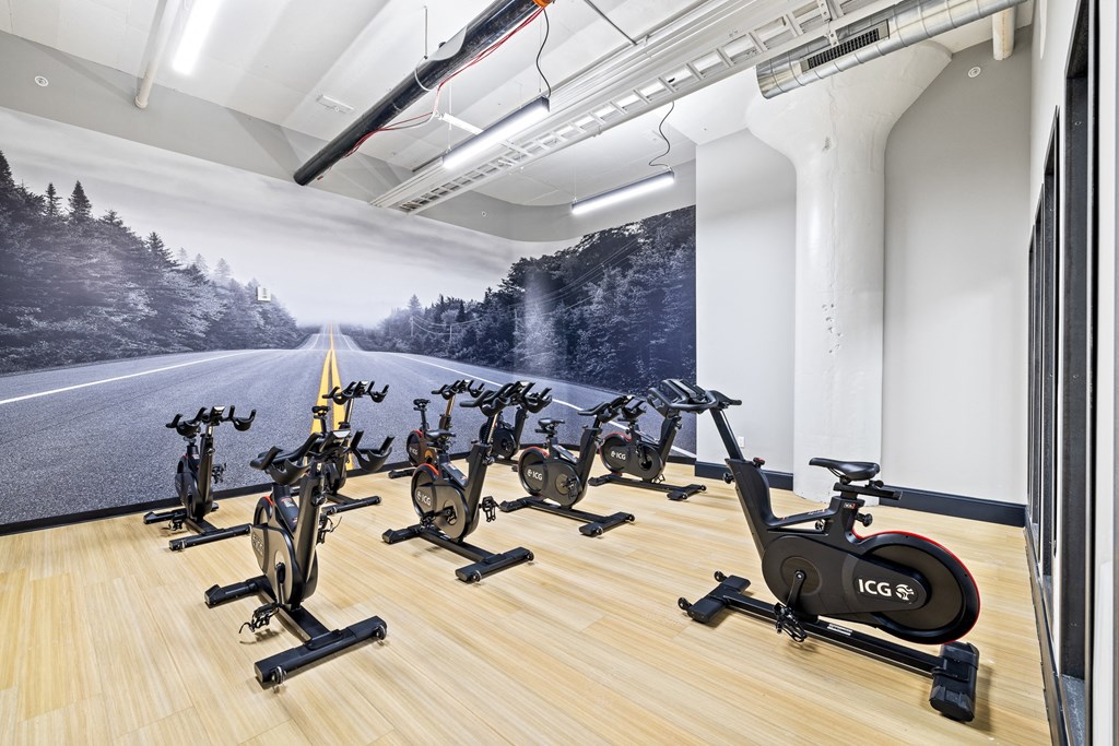 a gym with cardio equipment and a large window view of a snow covered mountain