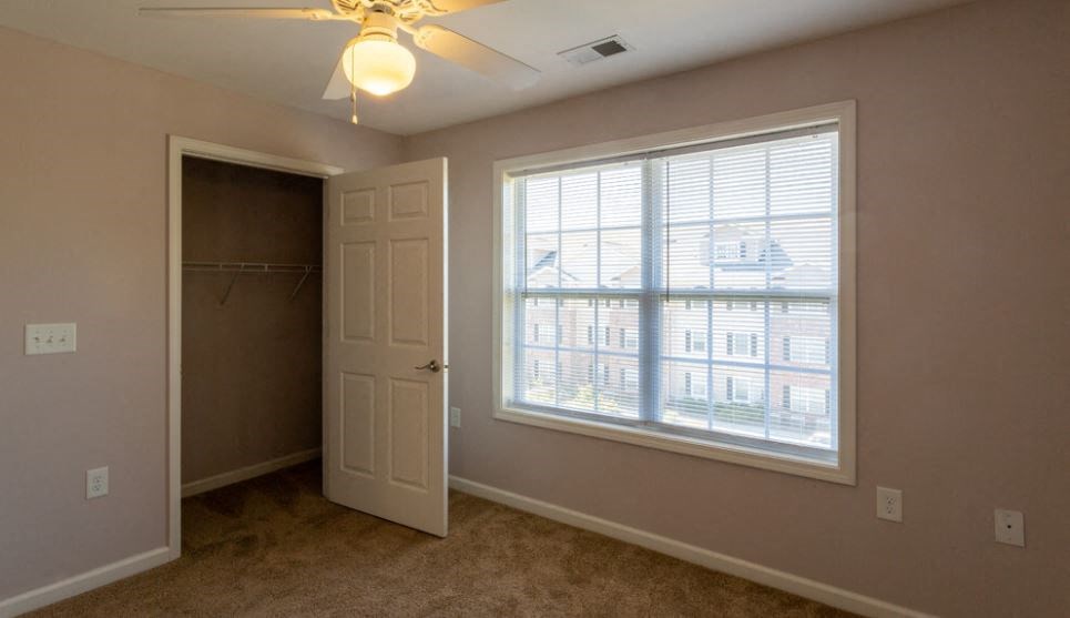 Loving the Natural Light