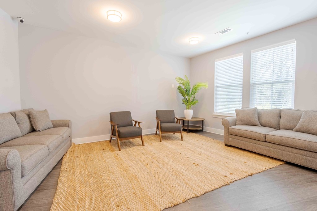 Modern Living Area at Bulls Creek, South Carolina, 29414