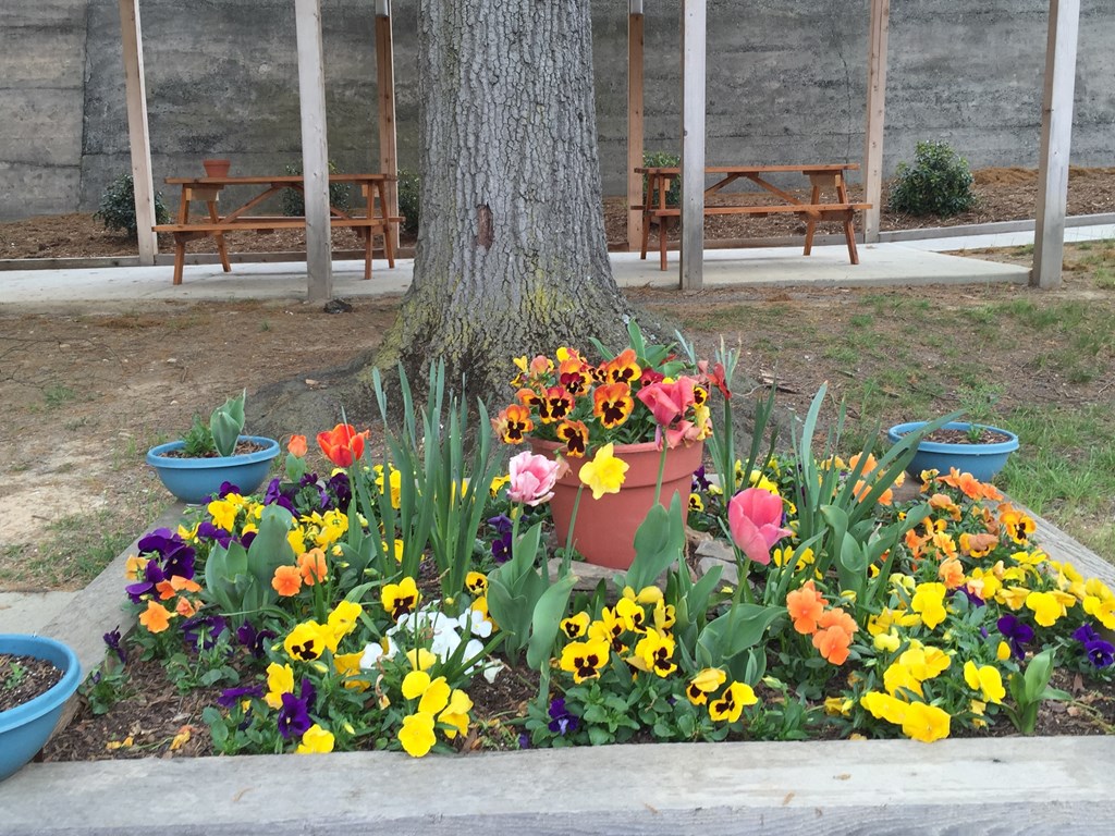 a flower garden around a tree in a park