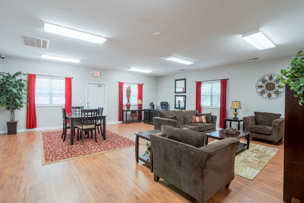 A living room with a grey couch, a wooden floor, and a rug.