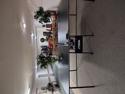 A long hallway with a tree hanging from the ceiling and a sign that says "TIGRA".