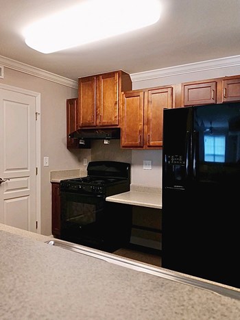 Black Appliances Black Appliances - Photo Gallery 3
