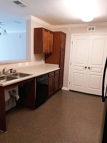 Accessible Kitchen - Photo Gallery 2