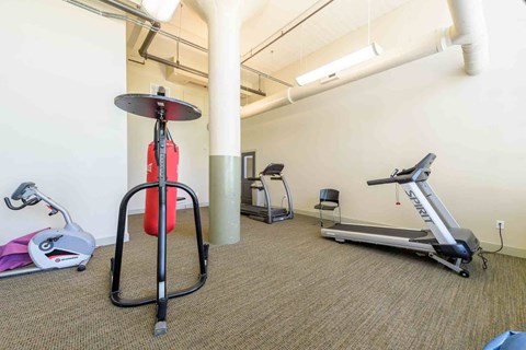 A gym with a treadmill, a stationary bike, and a weight machine.
