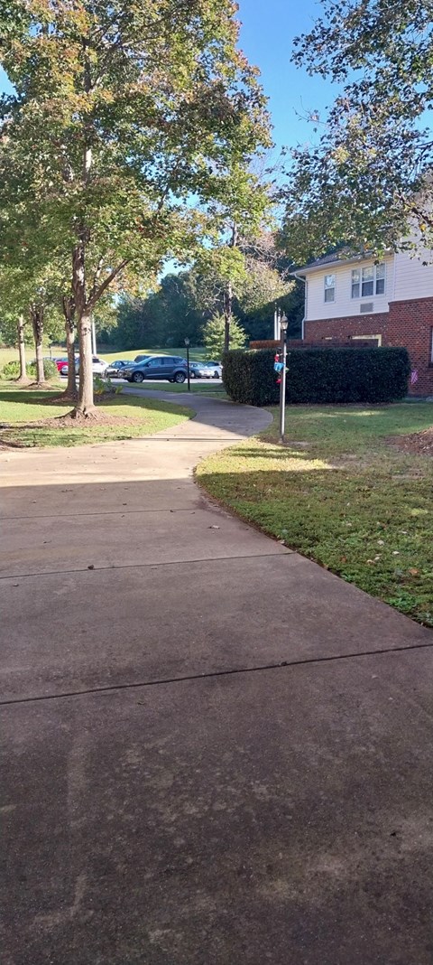 A sidewalk in a residential area with a tree and a house in the background.