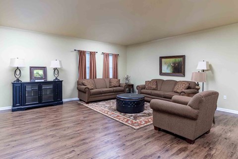 A living room with brown furniture and a rug.