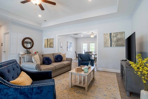 A living room with a blue velvet chair and a grey couch.