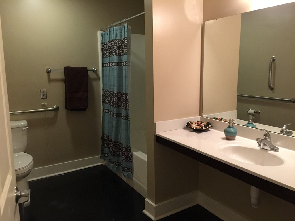 a bathroom with a sink and a toilet and a shower