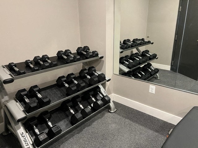 a rack of weights in a room with a mirror