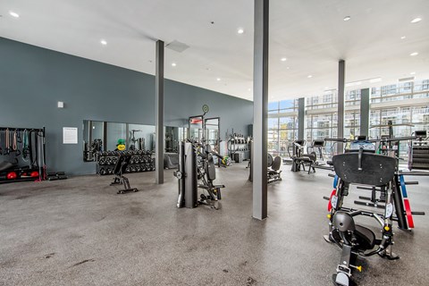 A gym with a variety of equipment including treadmills, weights, and exercise machines.