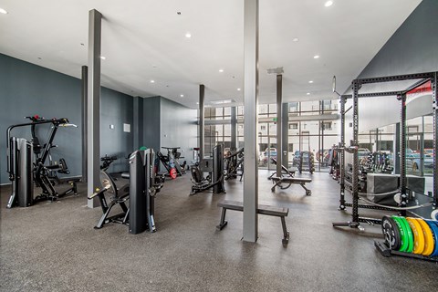 A gym with a variety of equipment including treadmills, weights, and exercise machines.