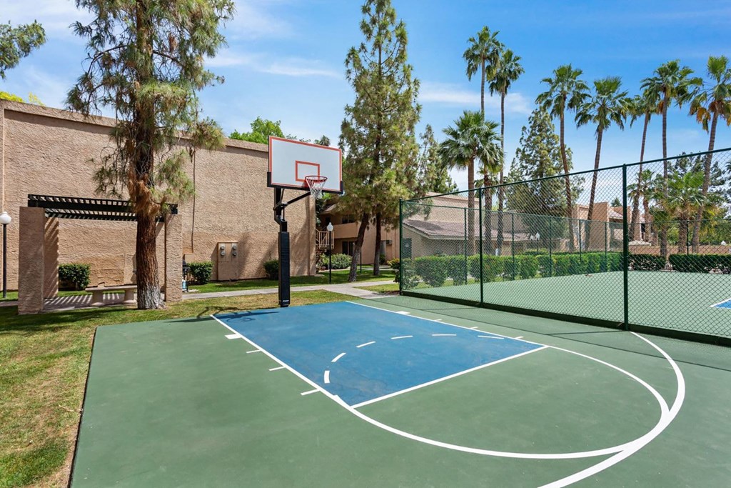 A basketball court with a blue surface and white lines is surrounded by a fence and palm trees.
