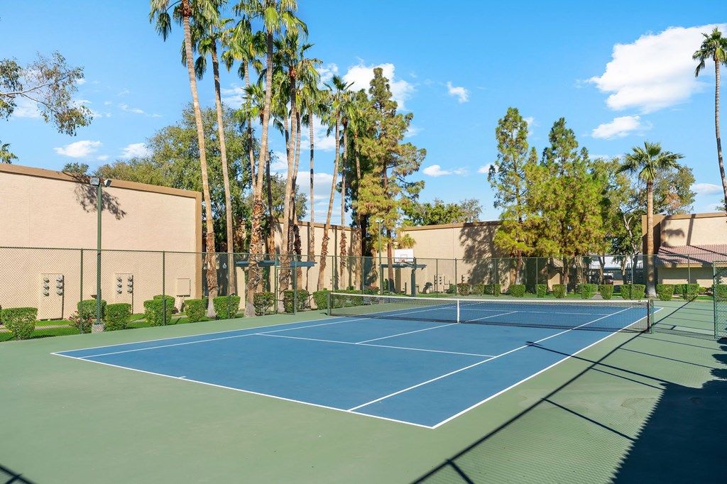 A tennis court surrounded by palm trees and buildings.