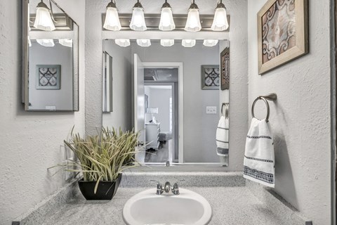 A bathroom with a white sink and a mirror.