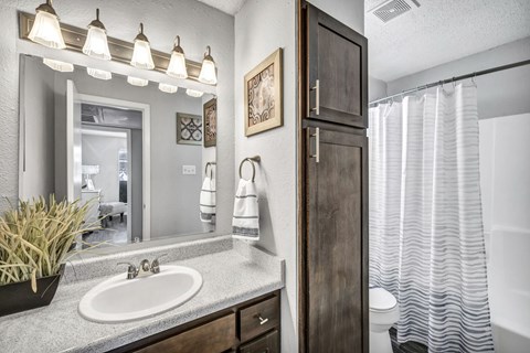 A bathroom with a sink, mirror, and shower.