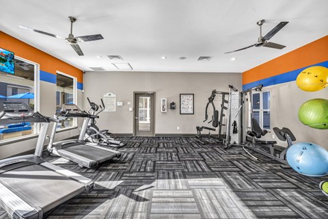 A gym with treadmills, weights, and exercise balls.