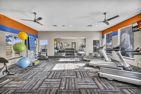 A gym with treadmills, exercise balls, and other equipment.