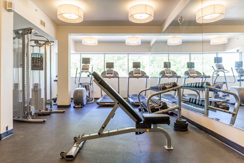 A gym with a variety of equipment including a rowing machine.