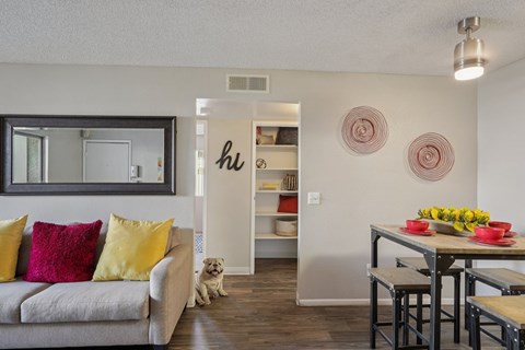 A dog sits on the floor in a living room with a grey couch and a dining table.