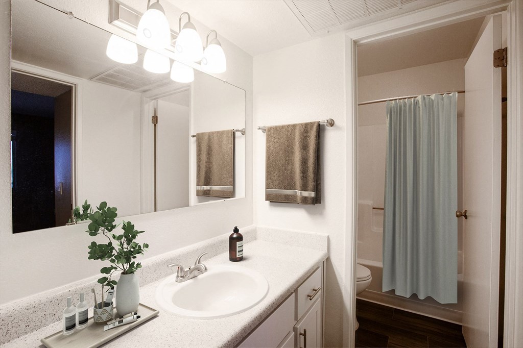 2 bed bathroom one bath bathroom at River Oaks Apartment in Tucson