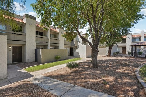 A tree in front of a building with a brownish ground.