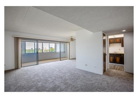 A spacious room with grey carpet and a large window with sliding doors.