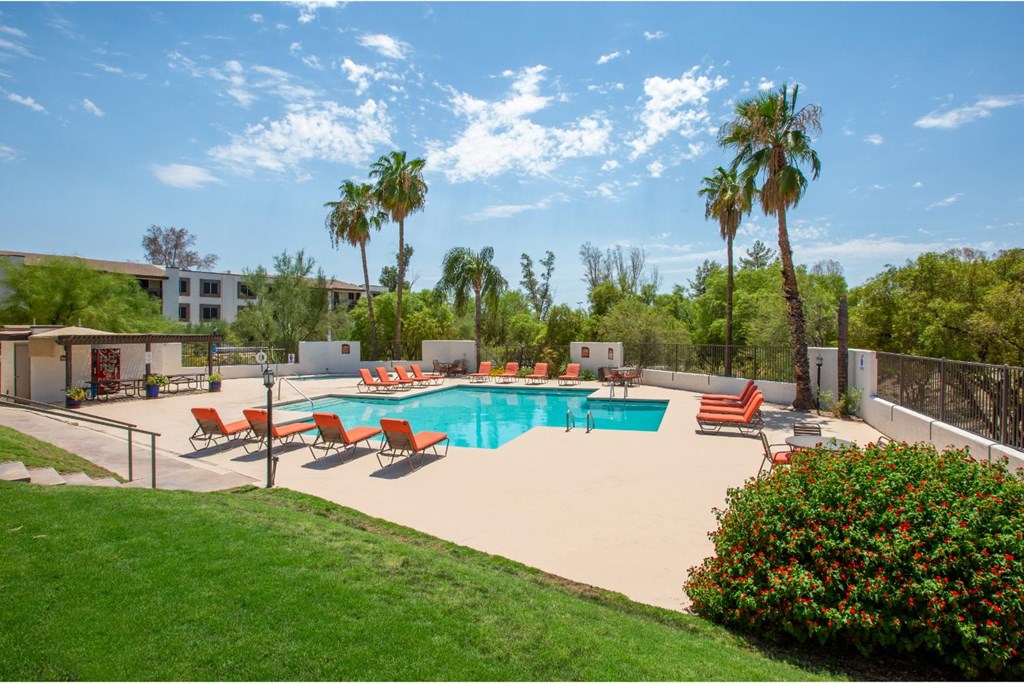 A pool surrounded by palm trees and red chairs.