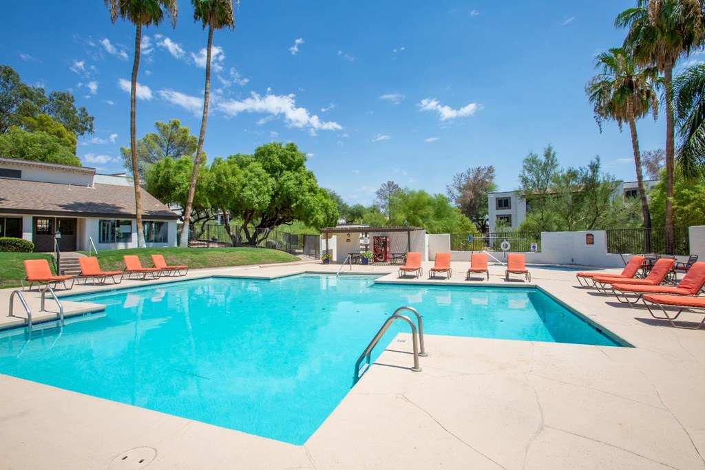 A large swimming pool surrounded by palm trees and lounge chairs.