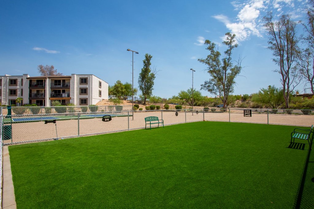 A large grassy field with a fence and benches in the foreground and apartment buildings in the background.