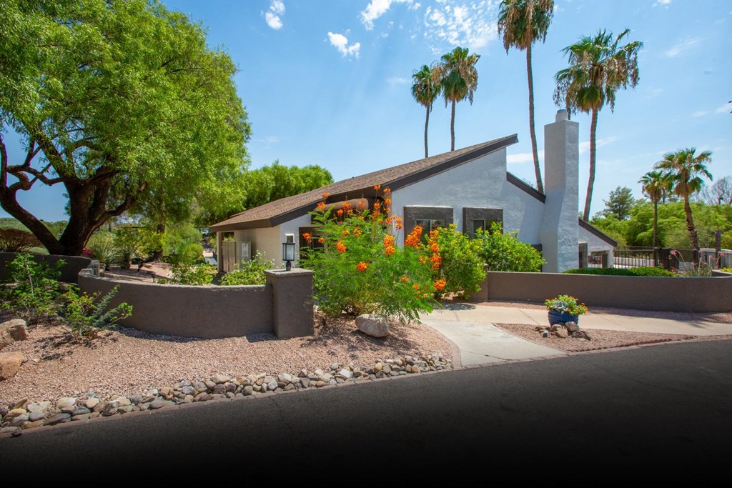 A house with a white roof and a grey wall is surrounded by a garden with orange flowers and palm trees.