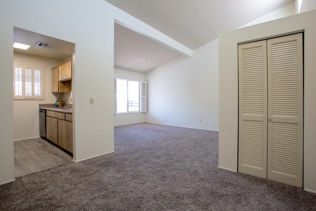 A room with a carpeted floor and a slanted ceiling with a closet on the right.