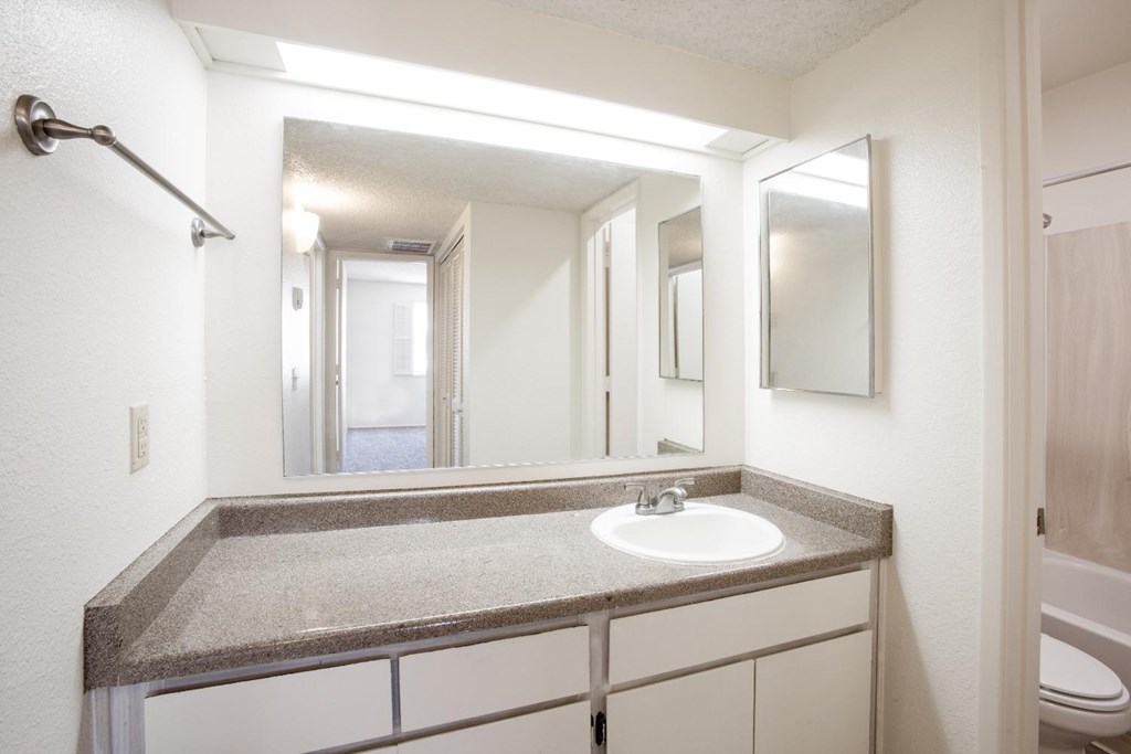 A bathroom with a sink, mirror, and toilet.