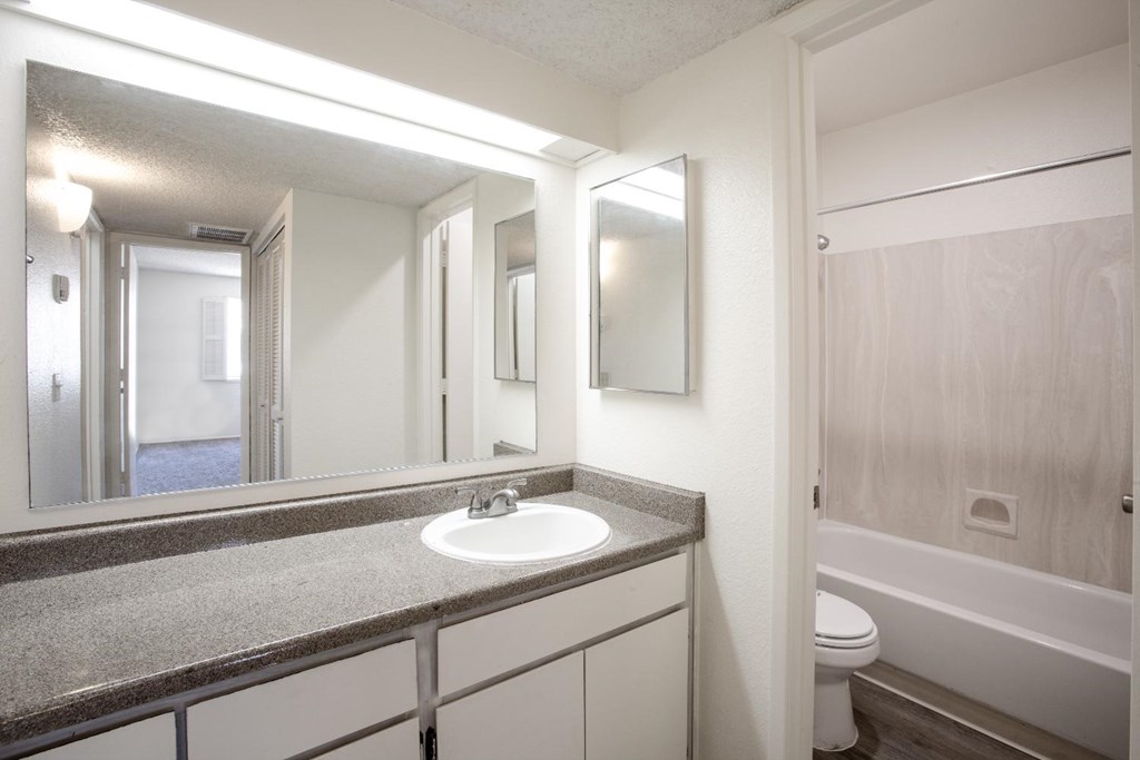 A bathroom with a sink, mirror, and toilet.