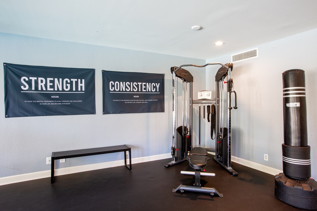 A gym with a bench, weights and a mirror.