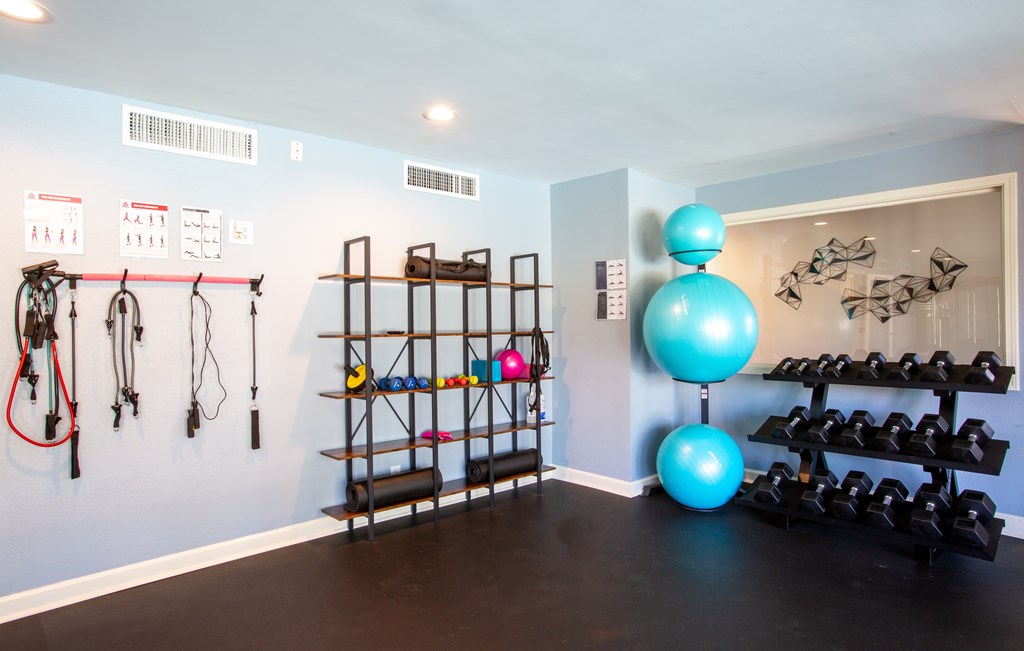 A gym with a blue ball and a rack of kettlebells.