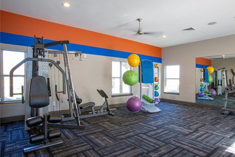 A gym with a variety of equipment including a treadmill, weights, and a bench press.