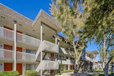 A modern apartment building with balconies and trees in front.