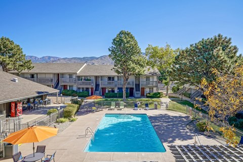 A swimming pool surrounded by trees and a building in the background.