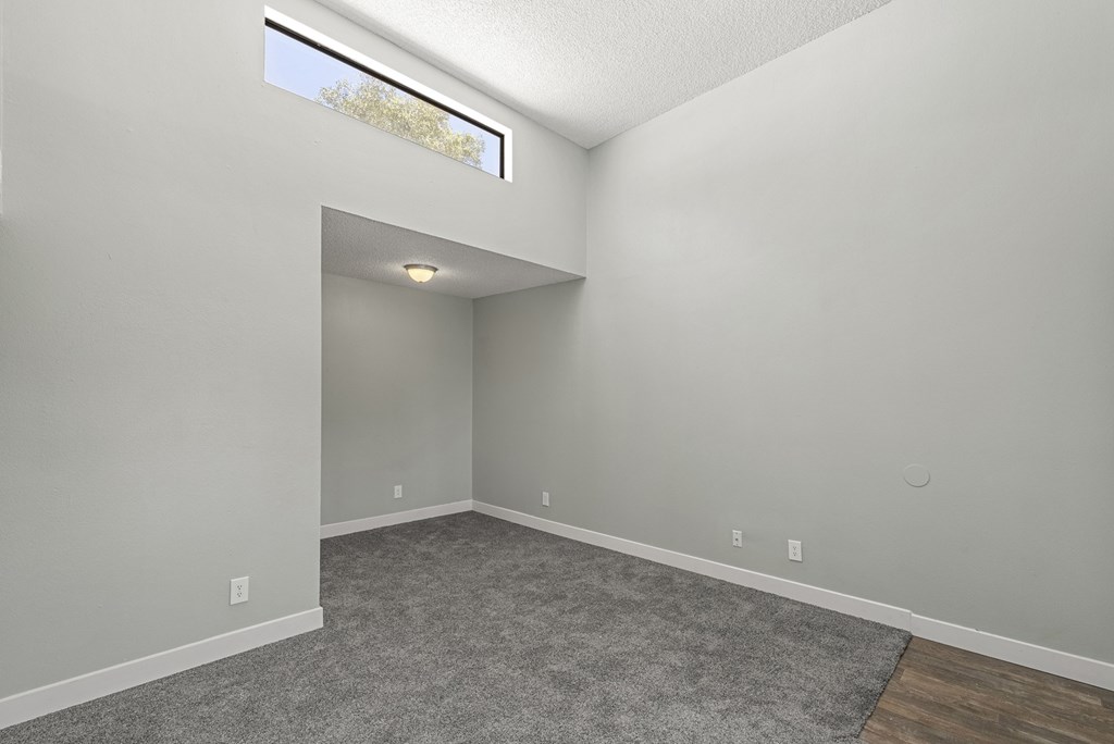 A room with a grey carpet and a window.
