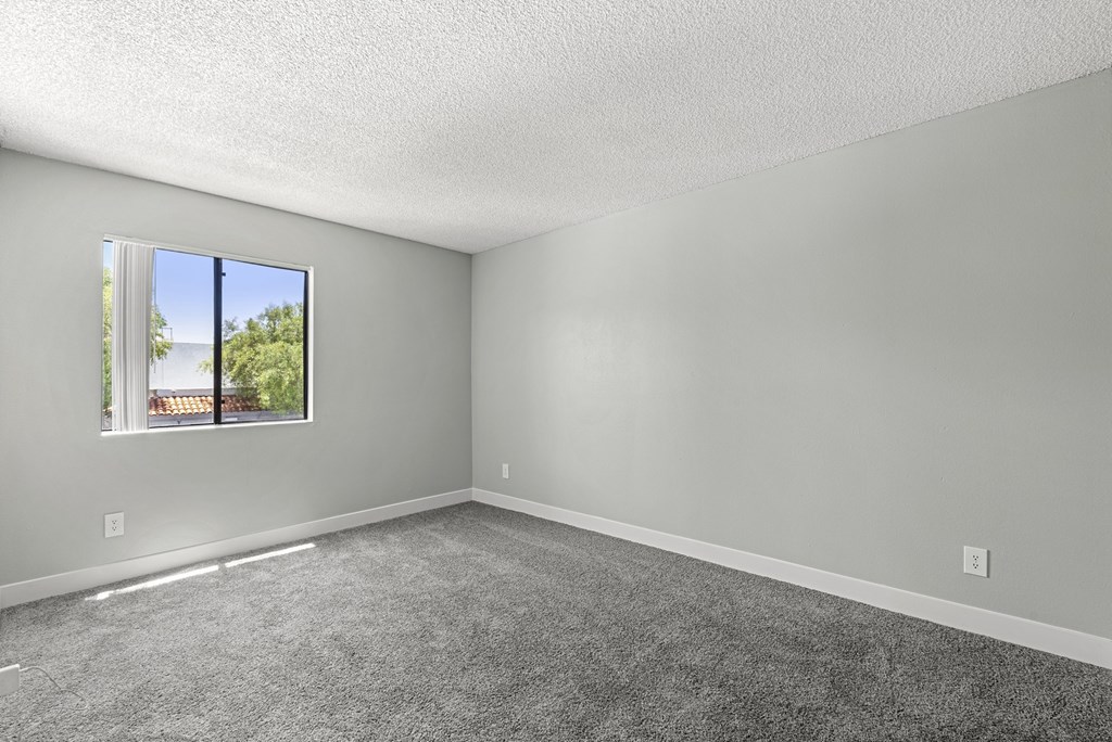 A room with a window and a carpeted floor.