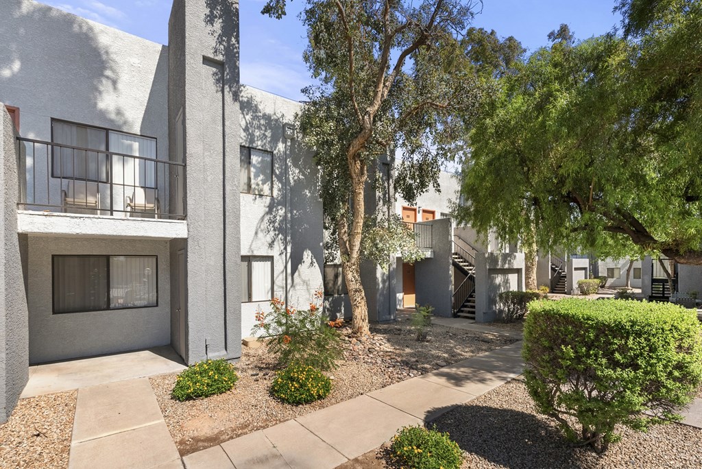 A modern building with a white exterior and a courtyard with a tree and bushes.