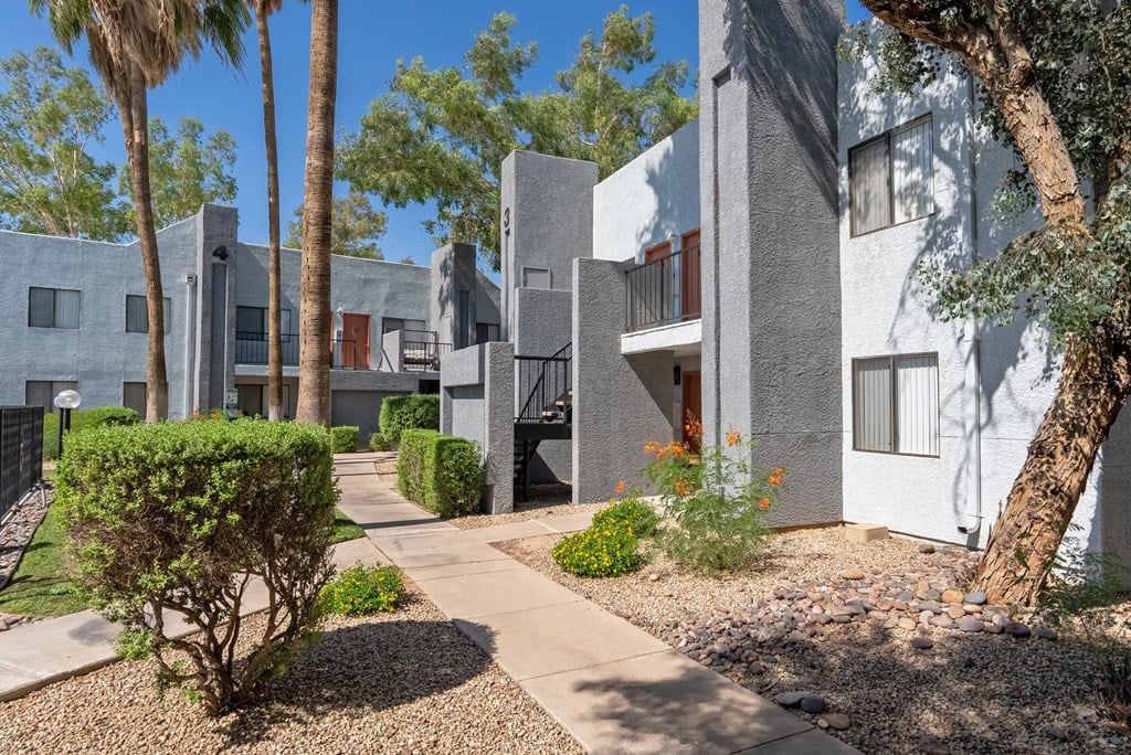 A modern building with a white exterior and a courtyard with a tree and bushes.
