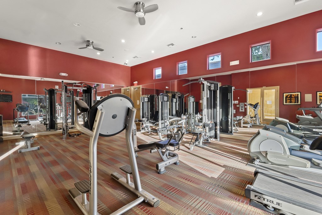 A gym with a variety of equipment including treadmills, weights, and a rowing machine.