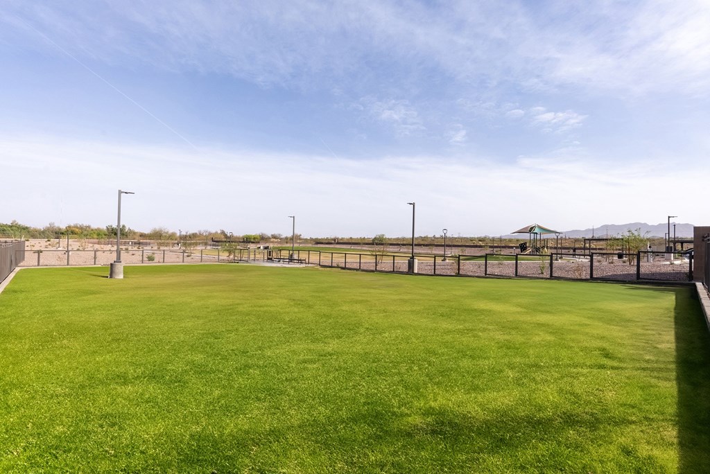 A large, well-maintained grassy field with a fence and street lights.