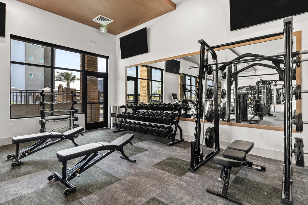 A gym with a variety of equipment including a squat rack, bench, and weights.
