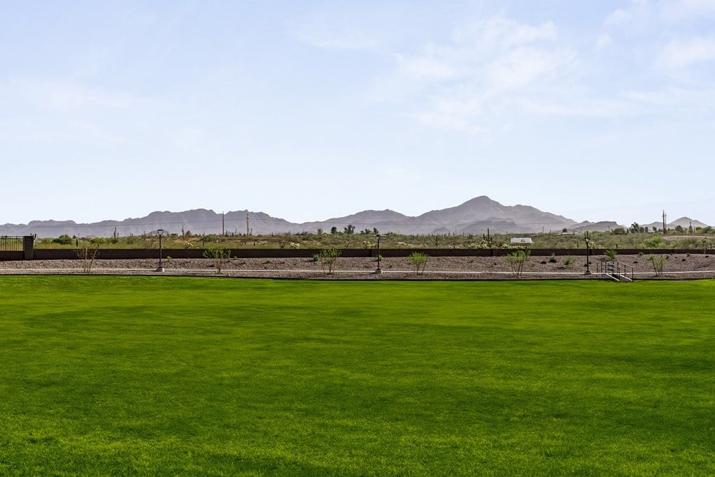 A green field with mountains in the background.